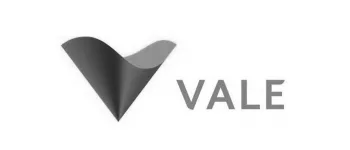 Logo VALE